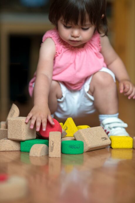 Cork Building Blocks