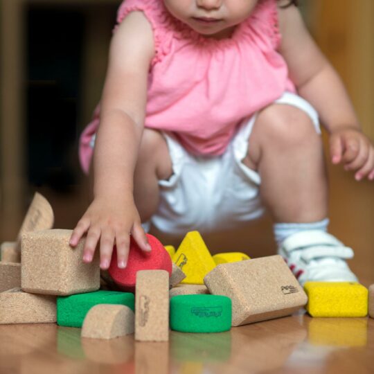 Cork Building Blocks