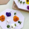 Flower Press