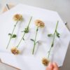 Flower Press