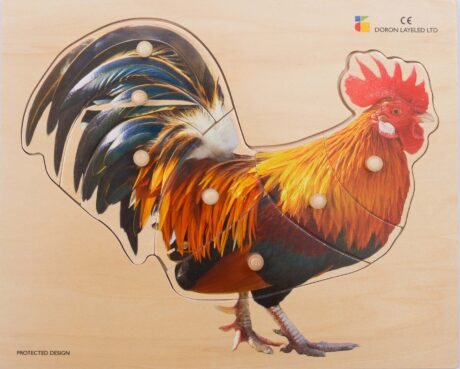 Rooster Wooden Knobs Puzzle