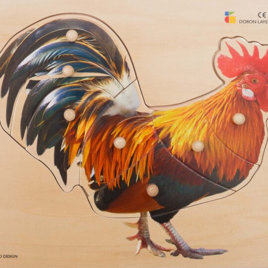 Rooster Wooden Knobs Puzzle