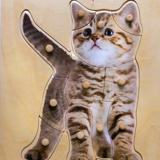 Kitten Wooden Knobs Puzzle