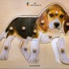 Puppy Wooden Knobs Puzzle