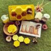 Life Cycle of a Honey Bee