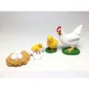 Life Cycle of a Chicken