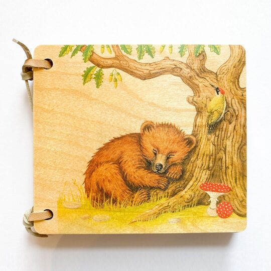 Wooden Picture Book - Bears