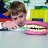 Giant Teeth Dental Demonstration Model