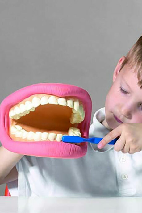 Giant Teeth Dental Demonstration Model
