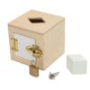 Lock Boxes with tray (Set of 6)