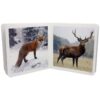 Book with Realistic images "Forest Animals"