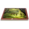 Book with Realistic images "Forest Animals"
