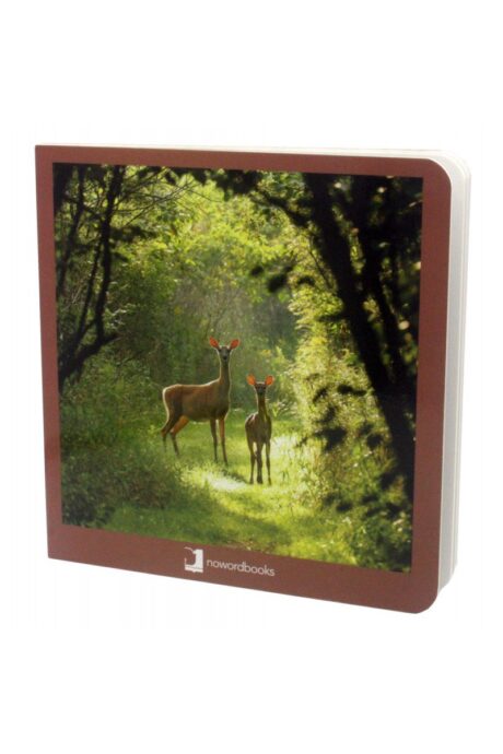 Book with Realistic images "Forest Animals"