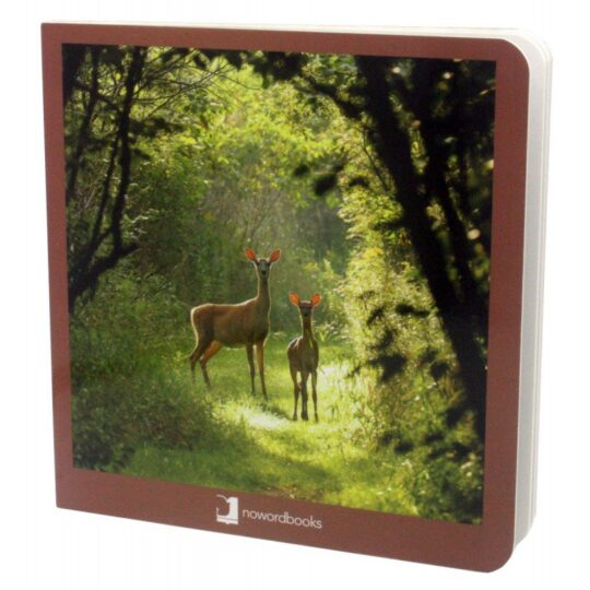 Book with Realistic images "Forest Animals"