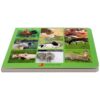 Book with Realistic images “Farm Animals”