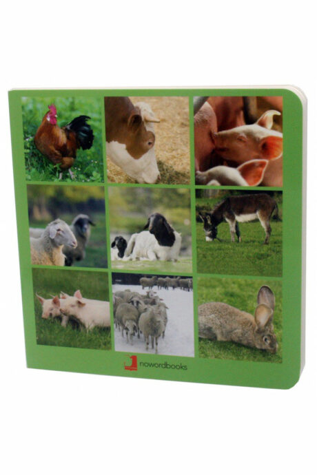 Book with Realistic images “Farm Animals”