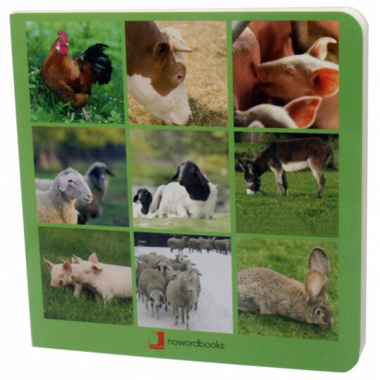 Book with Realistic images “Farm Animals”
