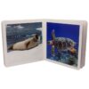 Book with Realistic images “Marine Animals”