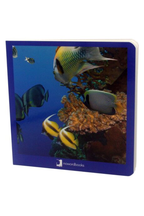 Book with Realistic images “Marine Animals”