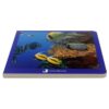 Book with Realistic images “Marine Animals”