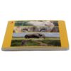 Book with Realistic images "Wild Animals"