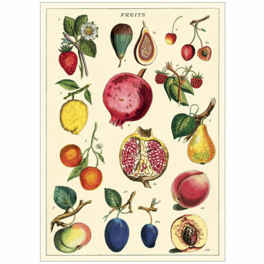 Vintage Poster - Fruit