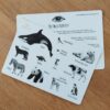 Black and White infant Cards