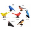 Safari Miniatures - Backyard Birds