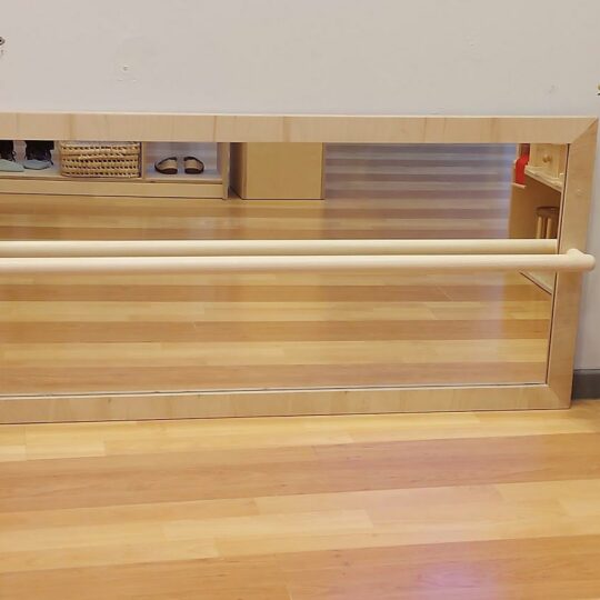 Mirror with Pull Up Bar (Montessori) Independent Living