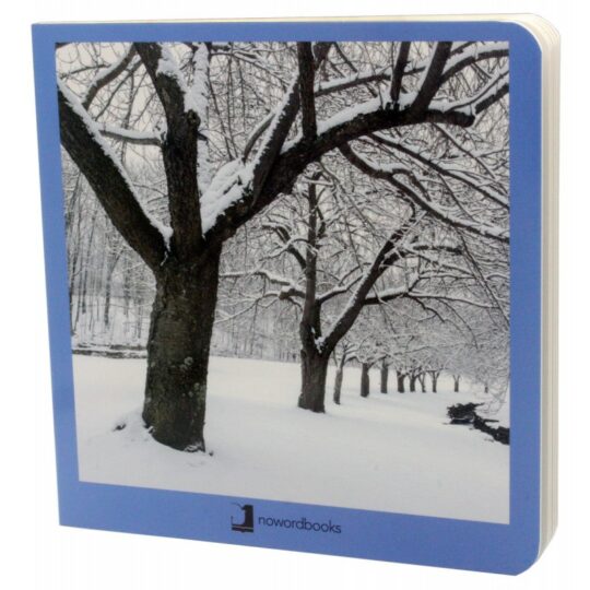 Book with Realistic images “4 Seasons - Winter”