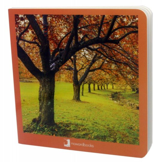 Book with Realistic images “4 Seasons - Fall”