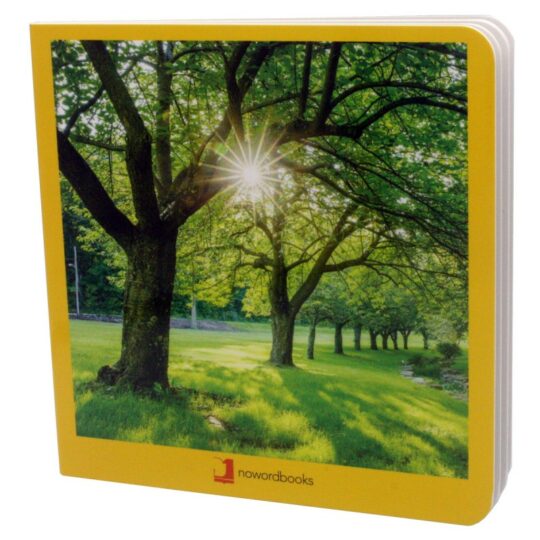 Book with Realistic images “4 Seasons - Summer”