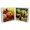 Book with Realistic images “4 Seasons - Fall”