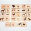 Domestic Animal Family Match - Pk28