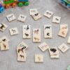 Domestic Animal Family Match - Pk28