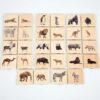 Wild Animal Family Match - Pk28