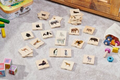 Wild Animal Family Match - Pk28