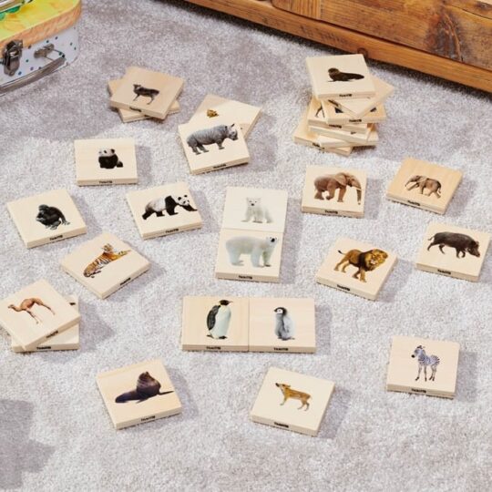 Wild Animal Family Match - Pk28
