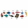 Safari Miniatures - Coral Reef
