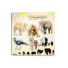 Animals Around the World Puzzles