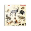 Animals Around the World Puzzles