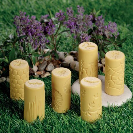 Let’s Roll – Garden Bugs (set of 6)