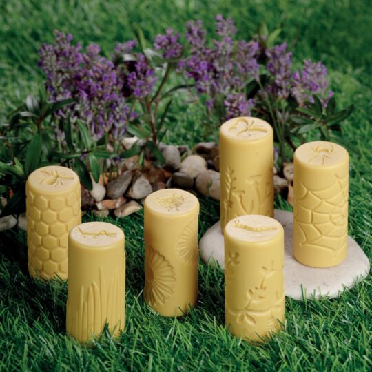 Let’s Roll – Garden Bugs (set of 6)