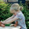 Let’s Roll – Forest (set of 6)