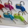 Tray with Locks