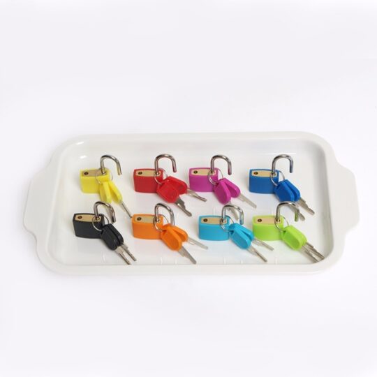 Tray with Locks