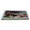 Book with Realistic images "The Families"