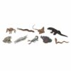 Safari Miniatures - Venomous Creatures