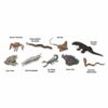 Safari Miniatures - Venomous Creatures