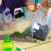 Vivarium observation of roots and earthworms